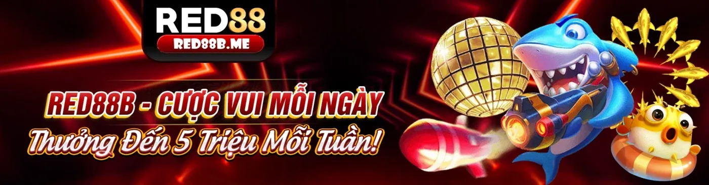 RG88 Nhà Cái – Nền Tảng Giải Trí Trực Tuyến Hàng Đầu